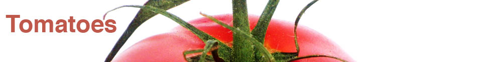 masthead